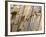 Typical Building Facade, Old Aix, Aix En Provence, Provence, France, Europe-Guy Thouvenin-Framed Photographic Print