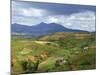 Typical Central Highlands Landscape, Near Dalat, Vietnam, Asia-Robert Francis-Mounted Photographic Print