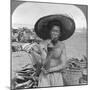 Typical Chinaman, Bhamo, Burma, 1908-null-Mounted Photographic Print