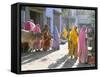 Typical Coloured Rajasthani Saris, Pushkar, Rajasthan, India-Tony Waltham-Framed Stretched Canvas