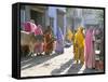 Typical Coloured Rajasthani Saris, Pushkar, Rajasthan, India-Tony Waltham-Framed Stretched Canvas