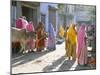 Typical Coloured Rajasthani Saris, Pushkar, Rajasthan, India-Tony Waltham-Mounted Photographic Print