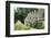 Typical Cotswold Houses in the Village of Bibury, the Cotswolds, Gloucestershire-Alex Robinson-Framed Photographic Print