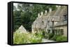 Typical Cotswold Houses in the Village of Bibury, the Cotswolds, Gloucestershire-Alex Robinson-Framed Stretched Canvas