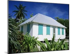 Typical Cottage, George Town, Grand Cayman, Cayman Islands, West Indies, Central America-Ruth Tomlinson-Mounted Photographic Print