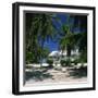 Typical Cottage on the North Side of Grand Cayman, Cayman Islands, West Indies, Caribbean-Ruth Tomlinson-Framed Photographic Print