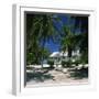 Typical Cottage on the North Side of Grand Cayman, Cayman Islands, West Indies, Caribbean-Ruth Tomlinson-Framed Photographic Print