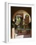 Typical Courtyard, Oaxaca City, Oaxaca, Mexico, North America-R H Productions-Framed Photographic Print