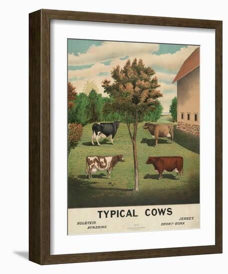 Typical Cows, c. 1904-Vintage Reproduction-Framed Art Print