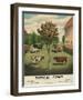 Typical Cows, c. 1904-Vintage Reproduction-Framed Art Print