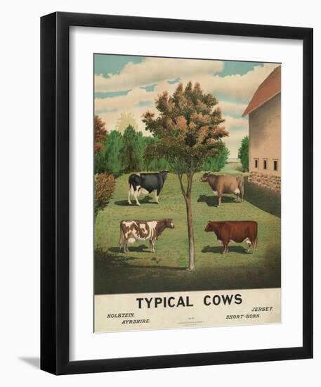 Typical Cows, c. 1904-Vintage Reproduction-Framed Art Print