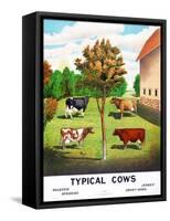 Typical Cows: Holstein, Jersey, Ayrshire, Short-Horn, 1904-null-Framed Stretched Canvas