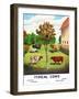Typical Cows: Holstein, Jersey, Ayrshire, Short-Horn, 1904-null-Framed Giclee Print
