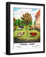 Typical Cows: Holstein, Jersey, Ayrshire, Short-Horn, 1904-null-Framed Giclee Print