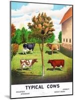 Typical Cows: Holstein, Jersey, Ayrshire, Short-Horn, 1904-null-Mounted Giclee Print