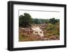 Typical Dutch Dunes with Heath-Sandra van der Steen-Framed Photographic Print