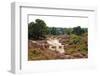 Typical Dutch Dunes with Heath-Sandra van der Steen-Framed Photographic Print