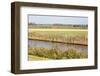 Typical Dutch Farmland with Meadows and Canals-kruwt-Framed Photographic Print