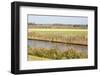 Typical Dutch Farmland with Meadows and Canals-kruwt-Framed Photographic Print