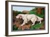 Typical English Setter-null-Framed Art Print