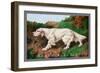 Typical English Setter-null-Framed Art Print