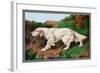 Typical English Setter-null-Framed Art Print