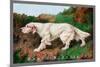 Typical English Setter-null-Mounted Art Print