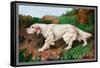 Typical English Setter-null-Framed Stretched Canvas