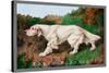 Typical English Setter-null-Stretched Canvas