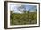 Typical Flowering Shade Tree Arabica Coffee Plantation in Highlands En Route to Jinotega-Rob Francis-Framed Photographic Print