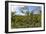 Typical Flowering Shade Tree Arabica Coffee Plantation in Highlands En Route to Jinotega-Rob Francis-Framed Photographic Print