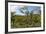 Typical Flowering Shade Tree Arabica Coffee Plantation in Highlands En Route to Jinotega-Rob Francis-Framed Photographic Print