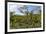 Typical Flowering Shade Tree Arabica Coffee Plantation in Highlands En Route to Jinotega-Rob Francis-Framed Photographic Print