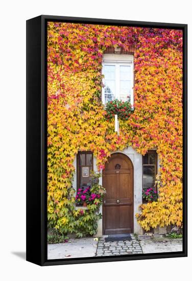 Typical House Covered with Vines, Hautvilliers, Marne Valley, Champagne Ardenne, France-Matteo Colombo-Framed Stretched Canvas
