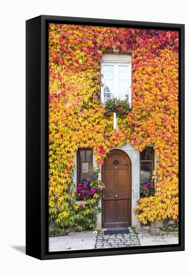 Typical House Covered with Vines, Hautvilliers, Marne Valley, Champagne Ardenne, France-Matteo Colombo-Framed Stretched Canvas