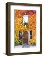 Typical House Covered with Vines, Hautvilliers, Marne Valley, Champagne Ardenne, France-Matteo Colombo-Framed Photographic Print