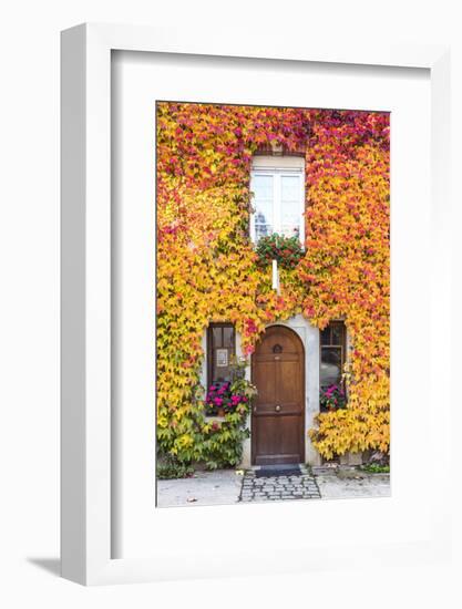 Typical House Covered with Vines, Hautvilliers, Marne Valley, Champagne Ardenne, France-Matteo Colombo-Framed Photographic Print