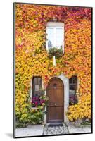 Typical House Covered with Vines, Hautvilliers, Marne Valley, Champagne Ardenne, France-Matteo Colombo-Mounted Photographic Print