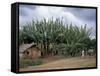 Typical House, Southern Ethiopia, Ethiopia, Africa-Jane Sweeney-Framed Stretched Canvas