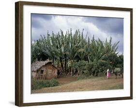 Typical House, Southern Ethiopia, Ethiopia, Africa-Jane Sweeney-Framed Photographic Print