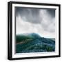 Black Frame