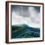 Brown Frame
