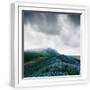 White Frame