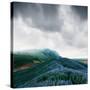 Stretched Canvas