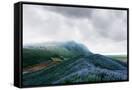 Canvas Black