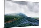 Wood Mount