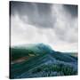 Stretched Canvas