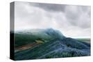Stretched Canvas