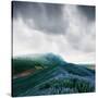 Stretched Canvas