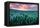Canvas Black